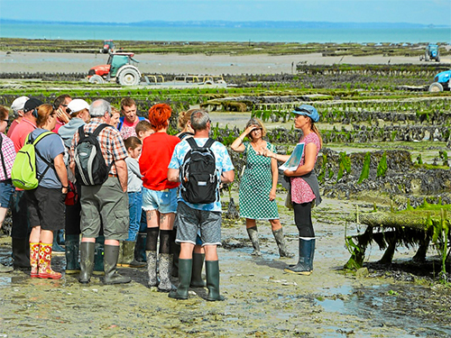 Les visites guidées à Cancale